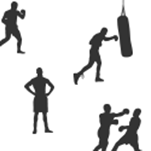 Picture for category Boxing
