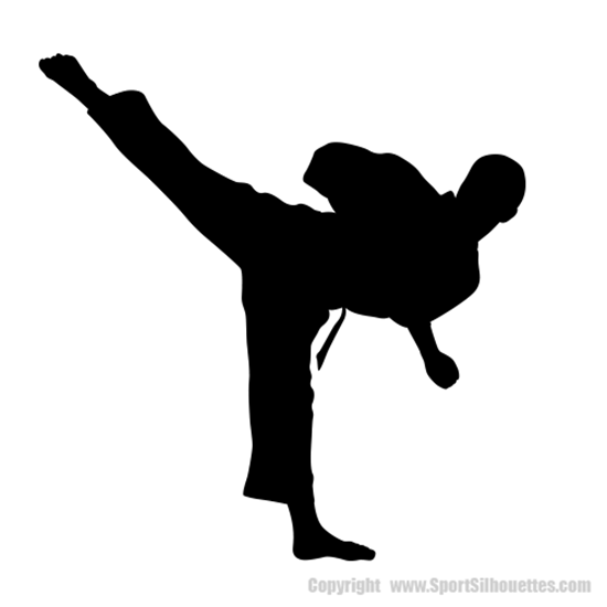 Martial Arts Punch Silhouette Karate Kung Fu Wall Sticker Decal Kids Vinyl UK 